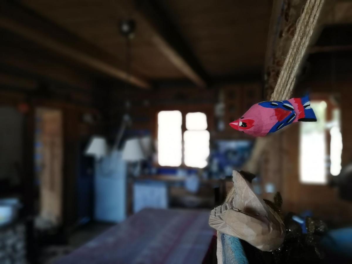 Chalupa Z Widokiem W Gorach Zawoja Luaran gambar